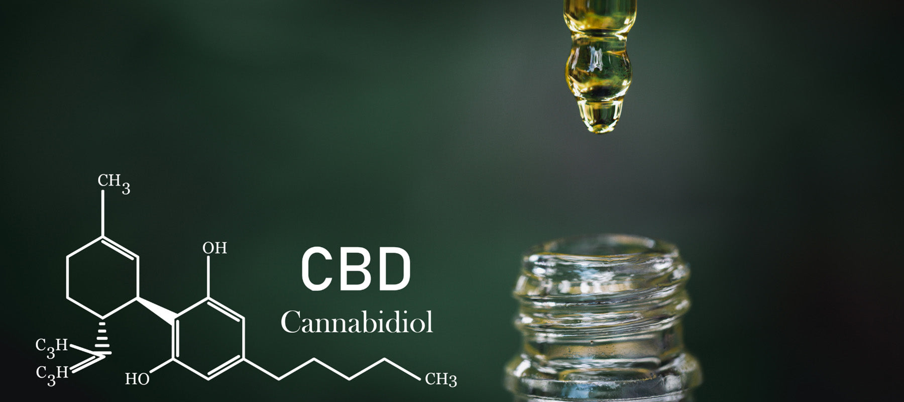 Alt du behøver å vite om organisk CBD