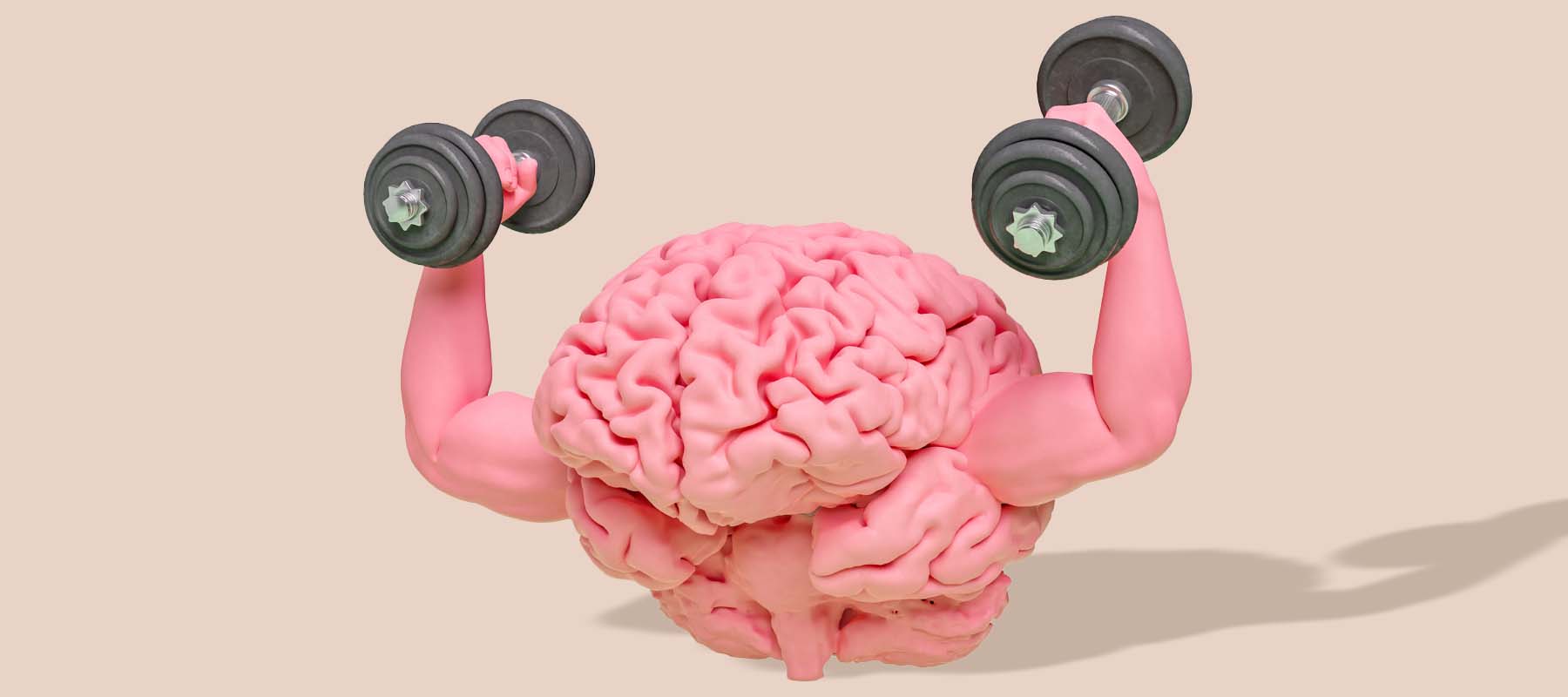 Lions Mane - alt du trenger å vite om soppen